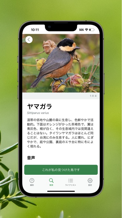 Merlin Bird IDの画面